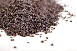 Łuska gryki i jej właściwości